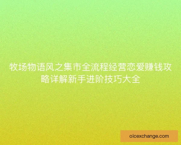 牧场物语风之集市全流程经营恋爱赚钱攻略详解新手进阶技巧大全