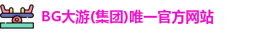 BG大游(集团)唯一官方网站